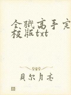全职高手完整精校版txt