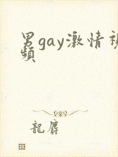 男gay激情视频