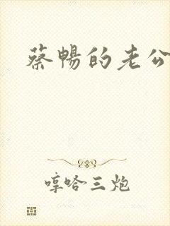 蔡畅的老公封面