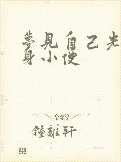 梦见自己光着全身小便