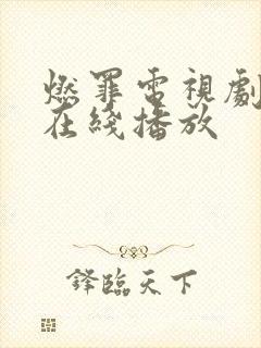 燃罪电视剧免费在线播放