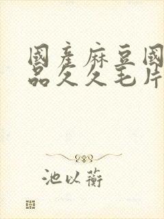 国产麻豆国精精品久久毛片封面