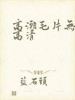 高潮毛片无遮挡高清