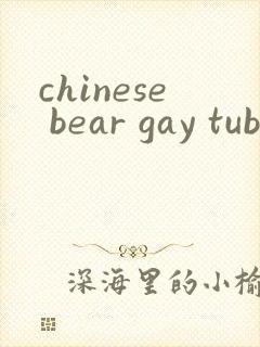 chinese bear gay tube