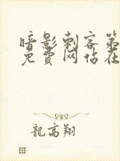 暗影刺客第五季免费网站在线观看