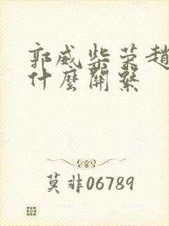 郭威柴荣赵匡胤什么关系