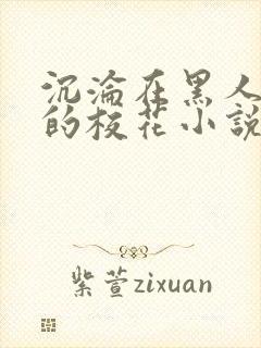 沉沦在黑人胯下的校花小说