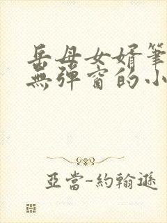岳母女婿笔趣阁无弹窗的小说