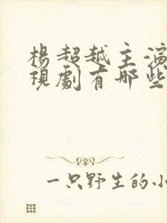 杨超越主演的电视剧有哪些