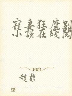 宠妻狂魔别太坏小说在线阅读