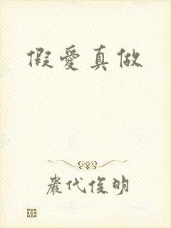 假爱真做