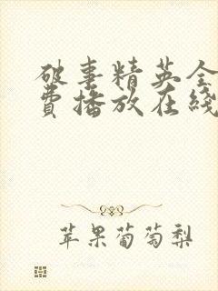 破事精英全集免费播放在线观看
