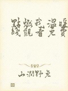 点燃我温暖你在线观看免费完整版高清