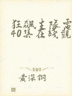 狂飙支队电视剧40集在线观看免费封面