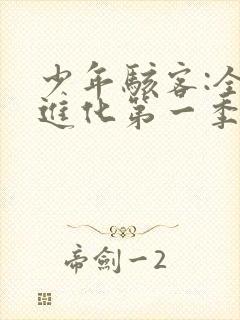 少年骇客:全面进化第一季