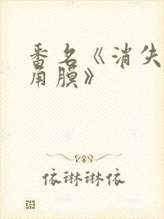 番名《消失的眼角膜》