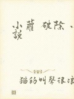 小萝 破除 小说