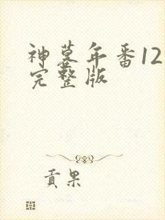 神墓年番12集完整版封面