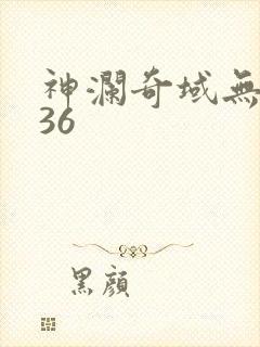 神澜奇域无双珠36