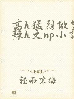 高h猛烈做哭高辣h文np小说