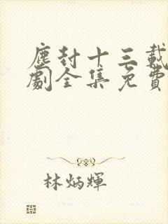 尘封十三载电视剧全集免费观看完整版封面