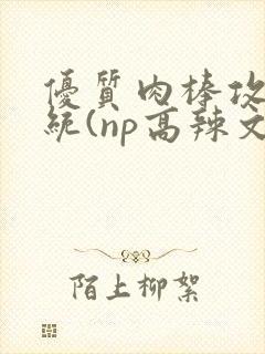 优质肉棒攻略系统(np高辣文)封面