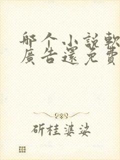 哪个小说软件没广告还免费
