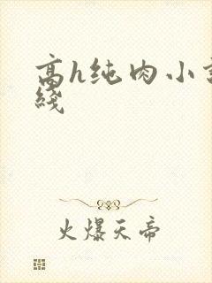 高h纯肉小说在线