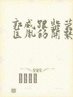 郭威跟柴荣与赵匡胤的关系