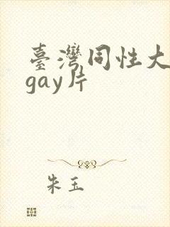 台湾同性大尺度gay片封面