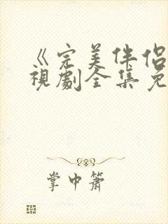 《完美伴侣》电视剧全集免费观看