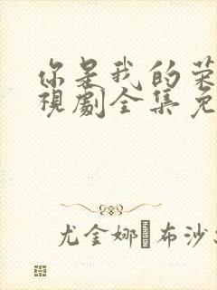 你是我的荣耀电视剧全集免费观看