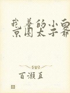 我养的小白脸是京圈太子爷完整版