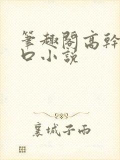 笔趣阁高干文入口小说