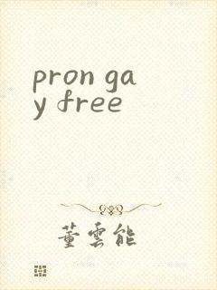 pron gay free
