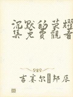 沉默的荣耀17集免费观看