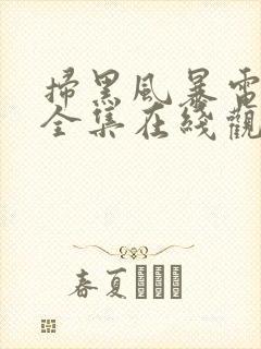 扫黑风暴电视剧全集在线观看免费封面