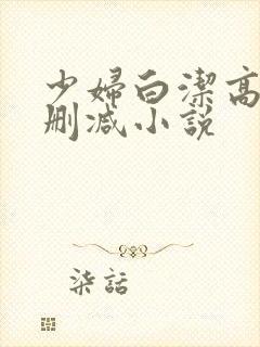 少妇白洁高义无删减小说