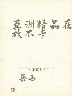 亚洲精品在线播放不卡