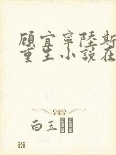 顾宜宁陆斯承的重生小说在线阅读