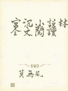 宫沉小说林知意全文阅读