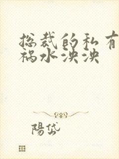 总裁的私有宝贝祸水泱泱