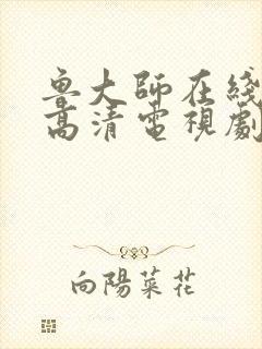 鲁大师在线观看高清电视剧免费下载