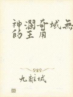 神澜奇域无双珠的主角