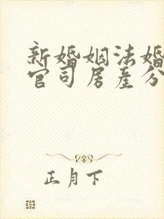 新婚姻法婚姻打官司房产分割纠纷封面