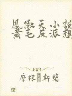 凤傲天小说里的黄毛反派想幸福封面