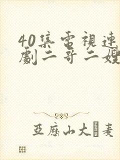 40集电视连续剧二哥二嫂封面