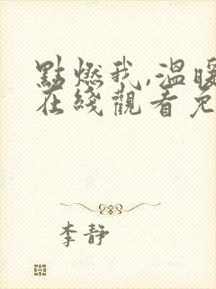点燃我,温暖你在线观看免费全集封面
