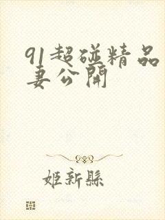 91超碰精品人妻公开