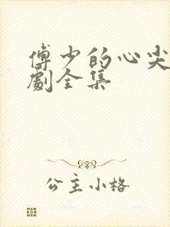 傅少的心尖宠短剧全集封面